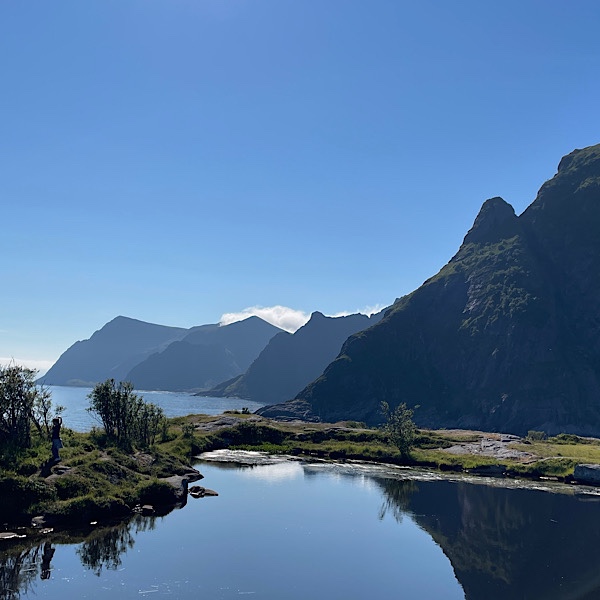 Ausblick aufs Meer, Lofoten