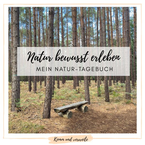 Mehr über den Artikel erfahren Natur bewusst erleben – mein Natur-Tagebuch