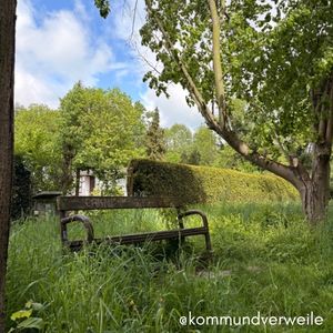 Bank am Wegesrand