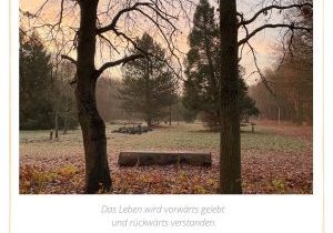 Kalenderblatt November, Bank in Markkleeberg mit Blick in buntgefärbte Parklandschaft