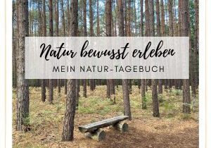 eine Bank in mitten hoher Bäume - eine echte Verweilebank. Dazu geschrieben "Natur bewusst erleben - mein Natur-Tagebuch